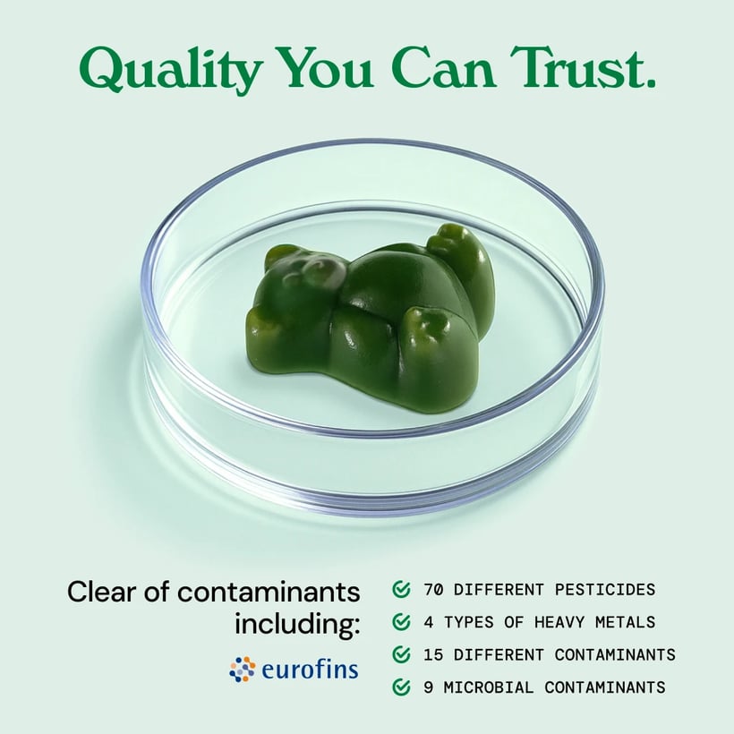 Gruns Adults Super Greens Gummies, Multivitamin Superfood Gummy Bears with Spirulina, Chlorella, Prebiotics & Fiber for Digestive Health, Adaptogens Supplement with 20 Vitamins & Minerals, 28 Count